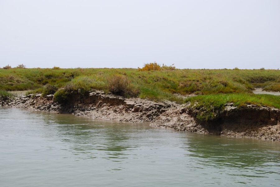 Faro: Ria Formosa Lagoon Small Boat Tour with Local Guide - Guides make the short format work