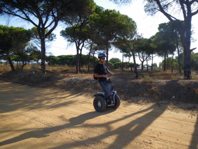 Faro: Ria Formosa Natural Park Segway Tour & Birdwatching - Birdwatching and the changing seasons