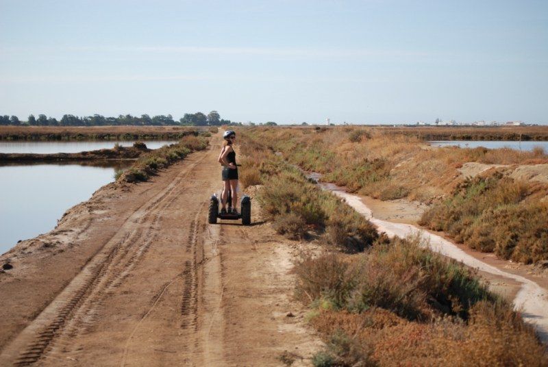 Faro: Ria Formosa Natural Park Segway Tour & Birdwatching - The private-group advantage