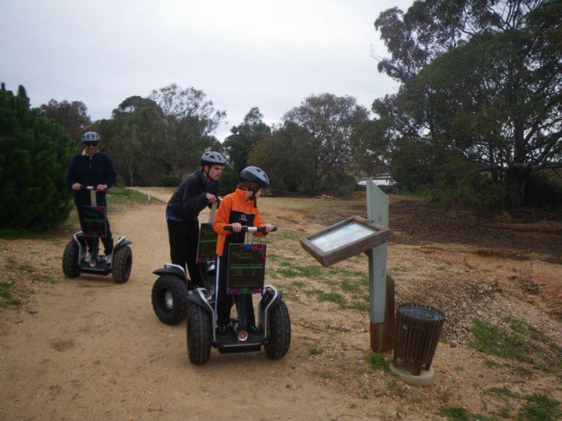 Faro: Ria Formosa Natural Park Segway Tour & Birdwatching - Is $66 a fair price?