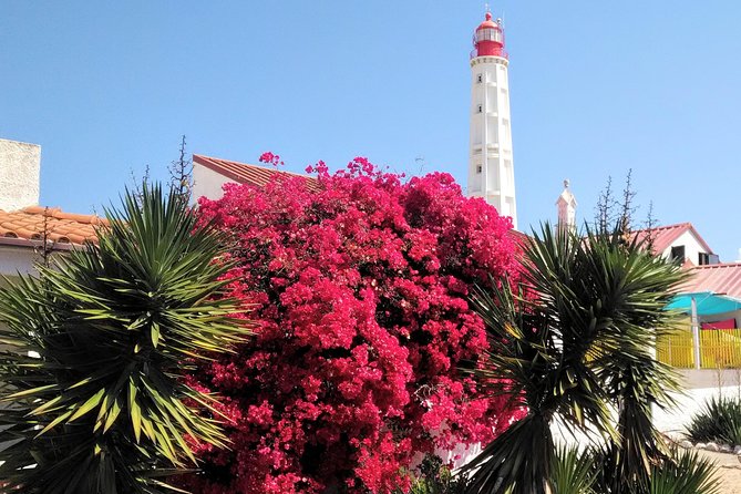Faro - Ria Formosa tour with visit to 2 islands (Deserta, Farol) 3.5 hours - The final call: book it for variety