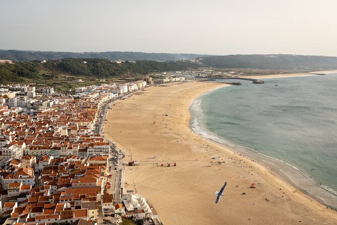 Fatima Sanctuary, Pena Palace & Nazare's Big Wave from Lisbon - How the guides affect the experience