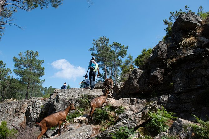 Fisgas de Ermelo Trail - What the five-hour schedule means for you