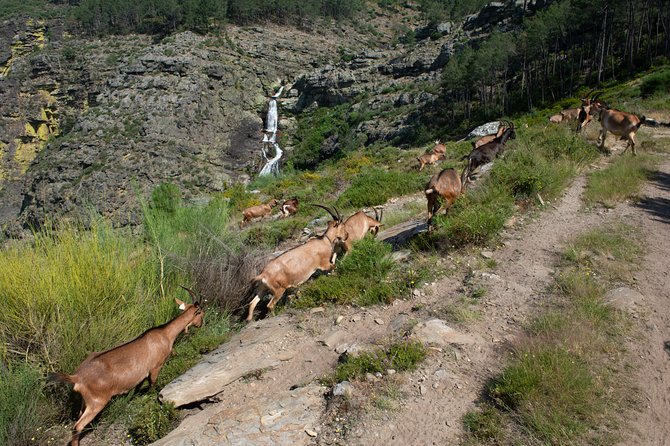 Fisgas de Ermelo Trail - Starting in Alvão Natural Park