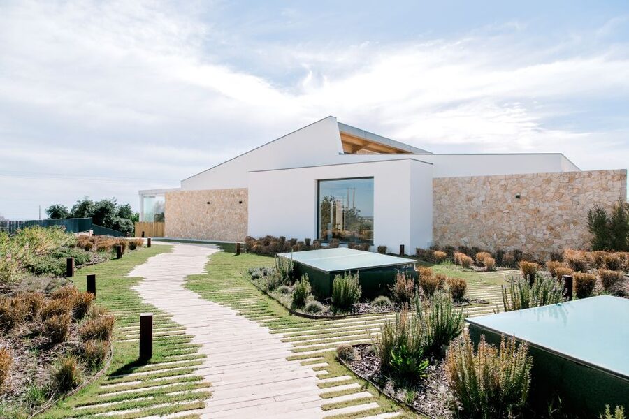 From Albufeira: 4x4 Off-Road Safari & Vineyard Wine Tasting - A stop for honey, liqueurs, and local flavor