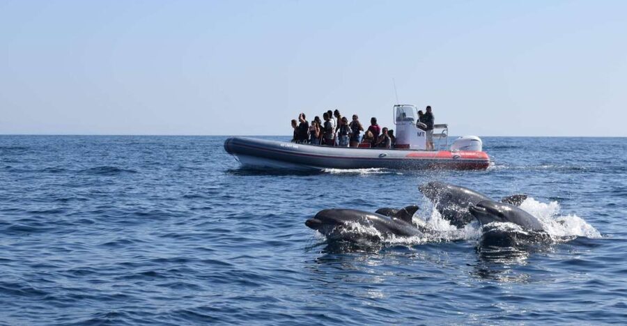 From Albufeira: Benagil Caves and Dolphins Guided Boat Tour - Why this Albufeira boat trip is more than a Benagil visit