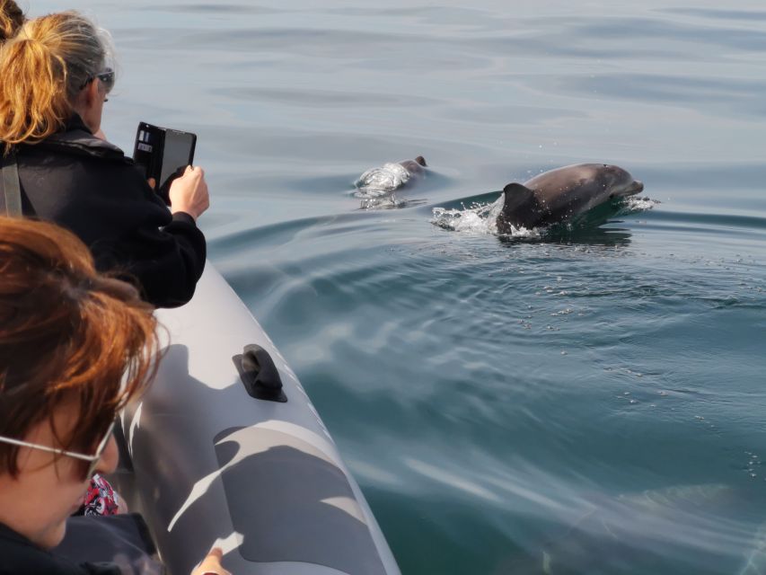 From Albufeira: Benagil Caves and Dolphins Guided Boat Tour - Entering the caves and finding small beaches