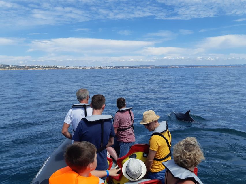 From Albufeira: Benagil Caves and Dolphins Guided Boat Tour - What the guides add to the experience