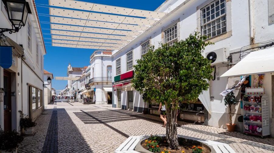 From Albufeira: Full-Day Tour of Algarve Eastern's Finest - Olhão and the market that defines the town