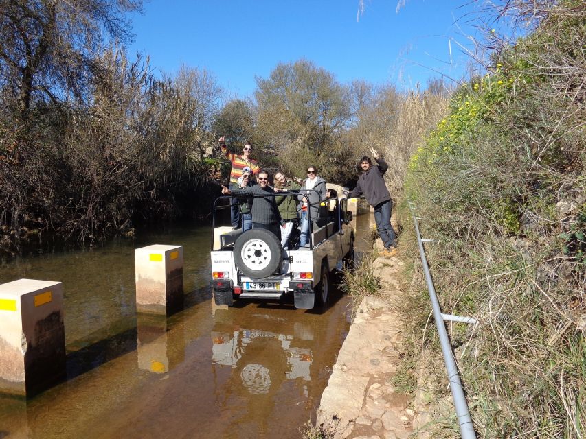 From Albufeira: Half-Day Algarve Jeep Safari - Cork forests, fruit trees, and rural traditions