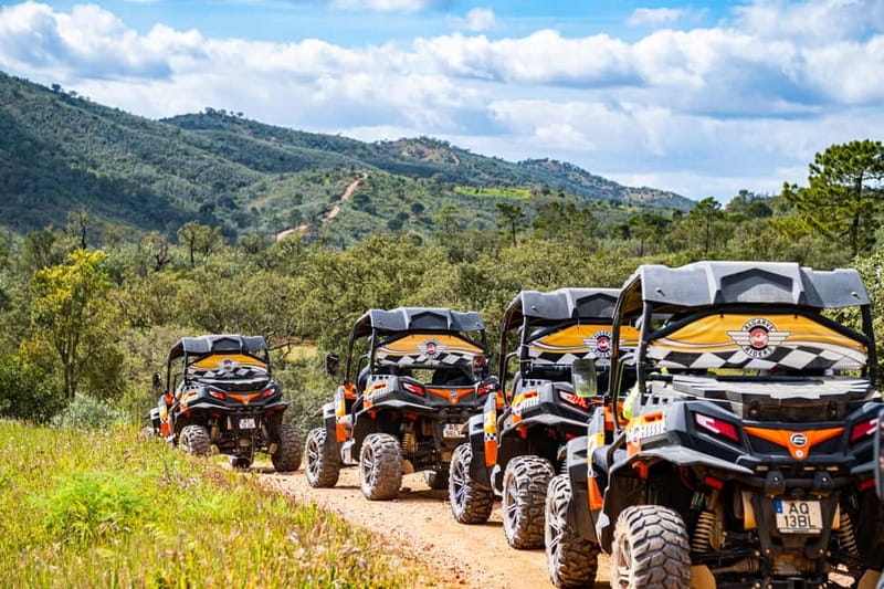 From Albufeira: Half-Day Buggy Adventure Tour - Quinta do Goji and the final view