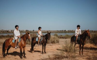 Half-Day Hidden Gems & Horse Riding Tour