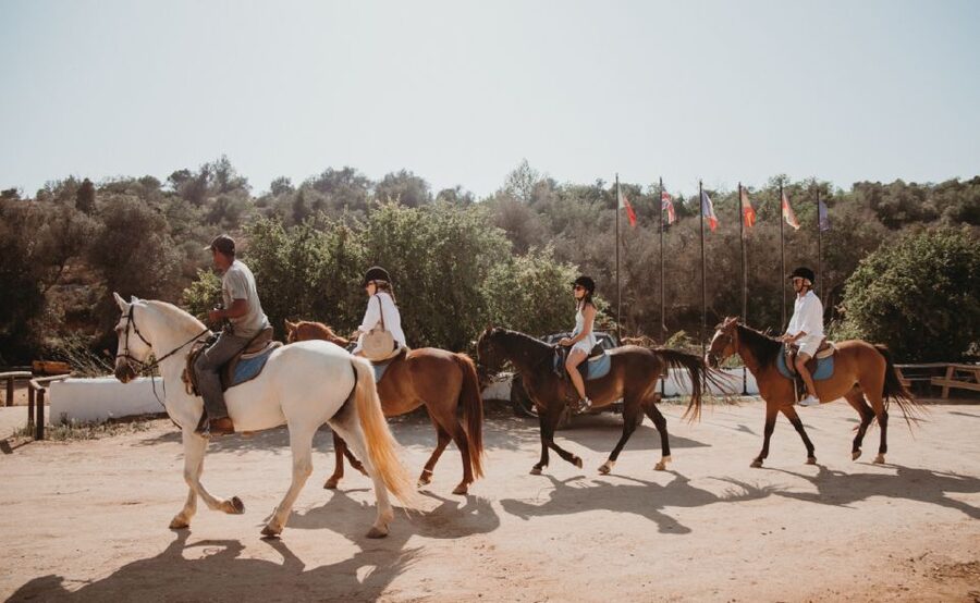 From Albufeira: Half-Day Hidden Gems & Horse Riding Tour - Can beginners and experienced riders share the same tour?