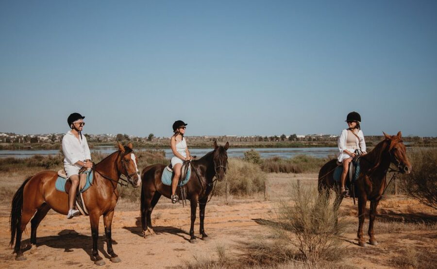 From Albufeira: Half-Day Hidden Gems & Horse Riding Tour - The drive through Albufeira’s quieter corners