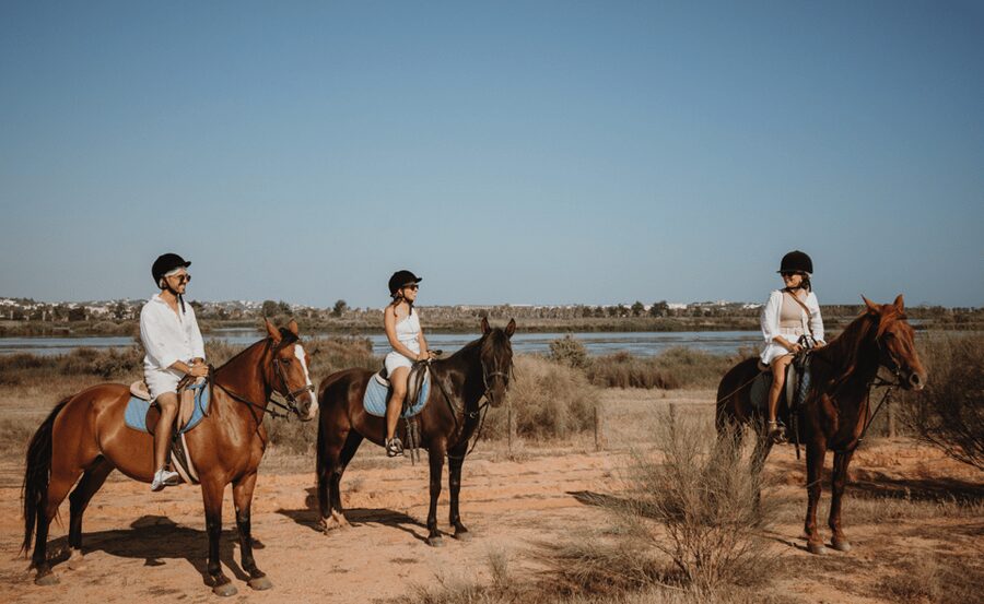 From Albufeira: Horse Riding Tour with Pickup - What experienced riders can expect