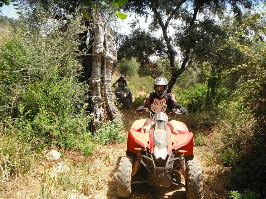 From Albufeira: Paderne Adventure Quad Ride - How Tough Is the Off-Road Riding?