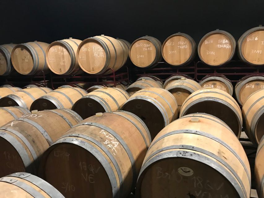 From Albufeira: Wine Tasting & Historic Silves Tour - Should you book it?