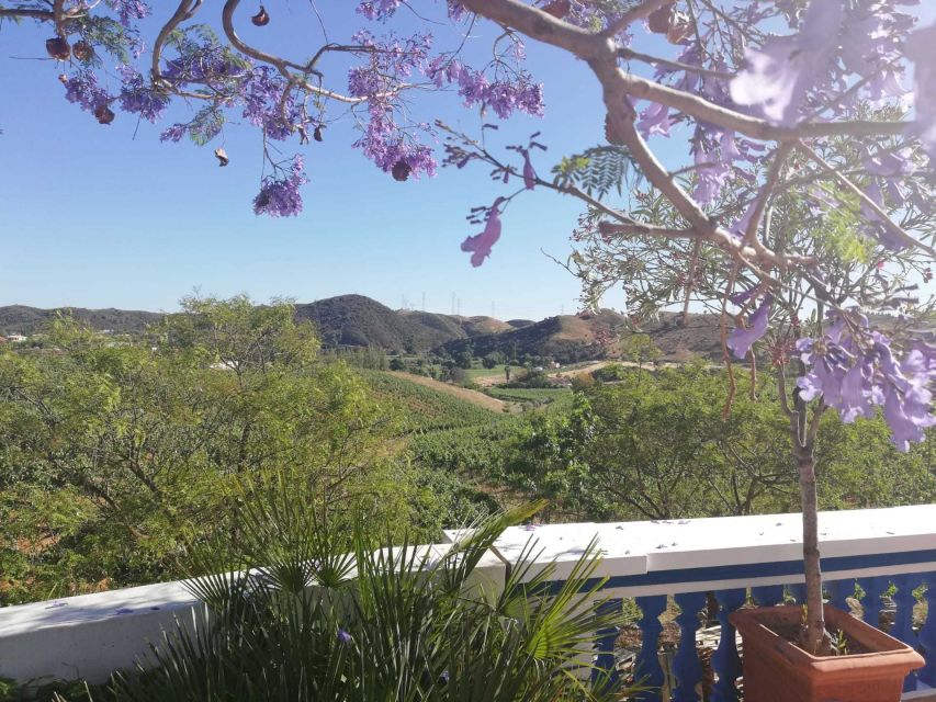 From Albufeira: Wine Tasting & Historic Silves Tour - Leaving Albufeira for the Algarve countryside