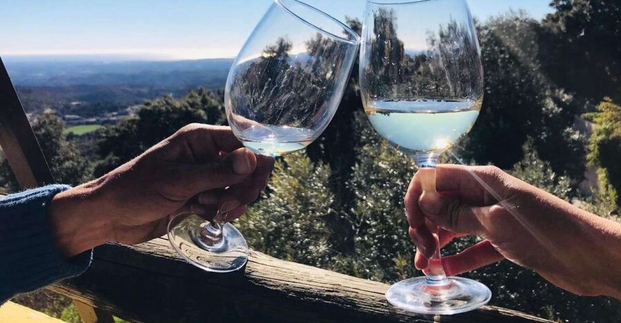 From Albufeira: Wine Tasting & Historic Silves Tour - A family winery and the grape-to-glass story