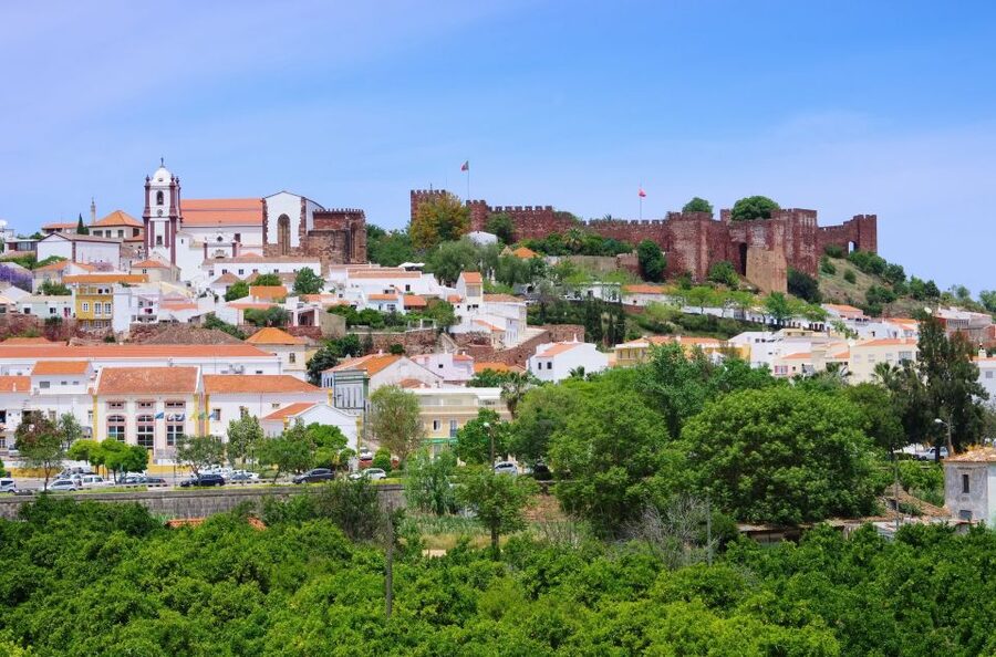 From Albufeira: Wine Tasting & Historic Silves Tour - Tasting three Algarve wines with local bites