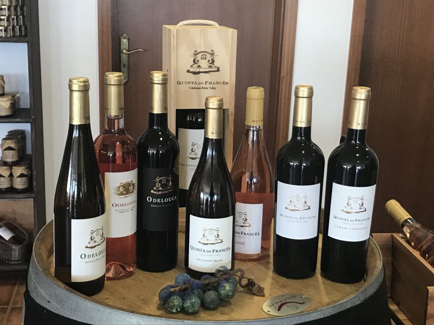 From Albufeira: Wine Tasting & Historic Silves Tour - Who will enjoy this half-day outing