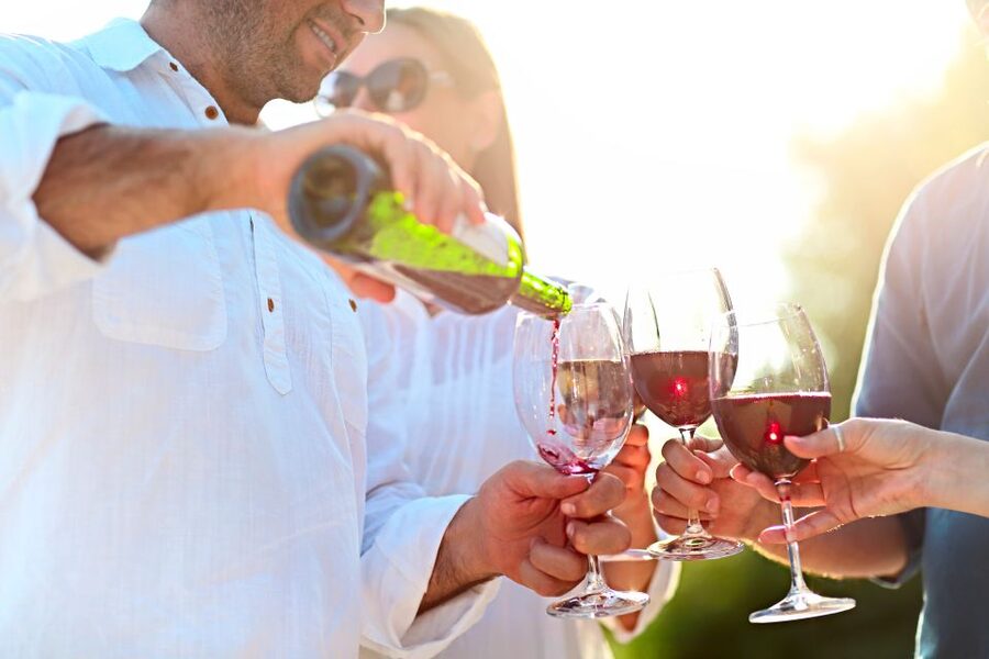 From Albufeira: Wine Tasting & Historic Silves Tour - What to know before you reserve