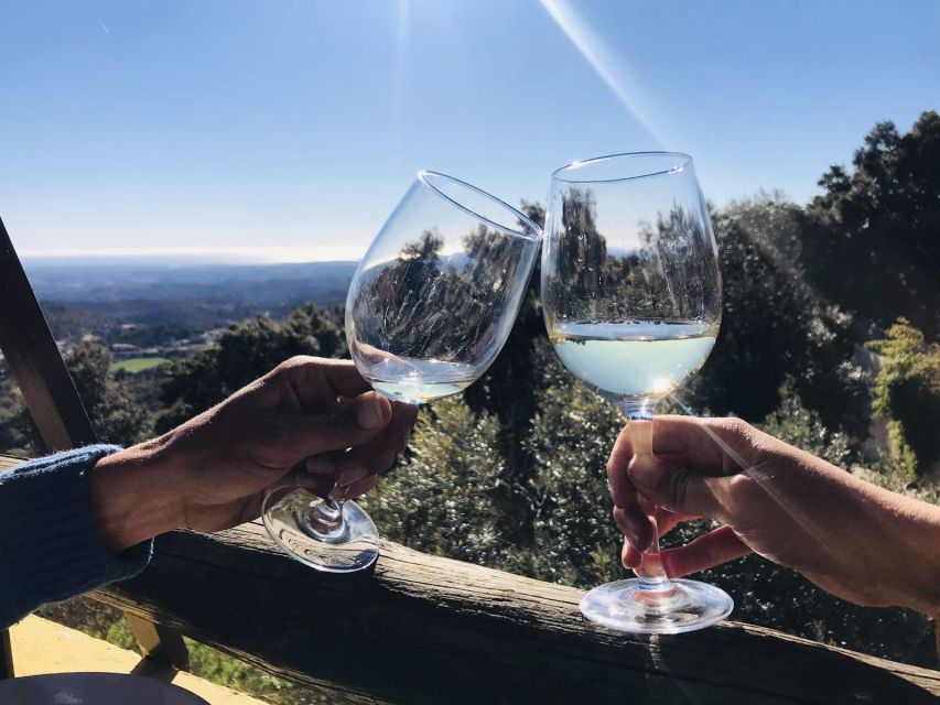 From Albufeira: Wine Tasting & Historic Silves Tour - Silves and its red-sandstone castle