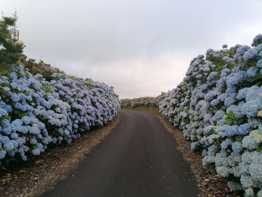 From Angra: Terceira Island Full-Day Tour - Transport, pace, and practical details