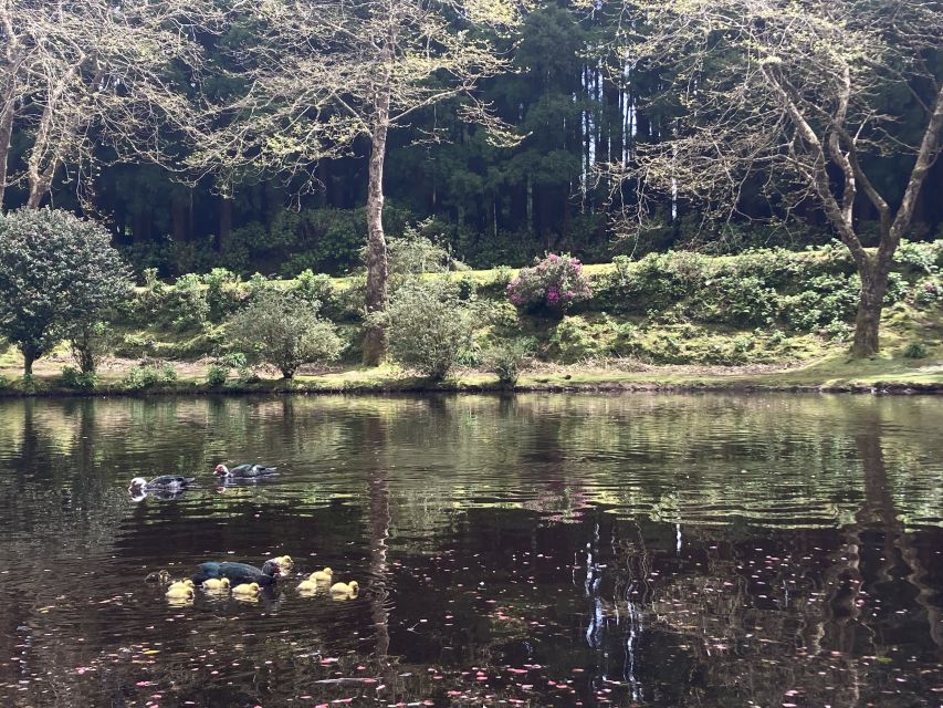 From Angra: Terceira Island Full-Day Tour - The guides are part of the experience