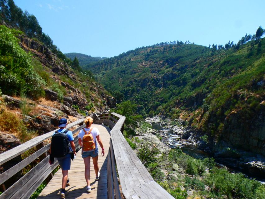 From Arouca: 516 Arouca Bridge & Paiva Walkway Tour - How much value you get for $53