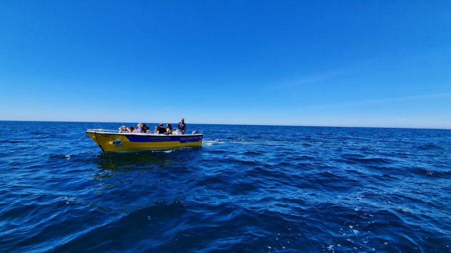 From Benagil: Benagil Cave & Marinha Beach Express Tour - Starting at Benagil Beach