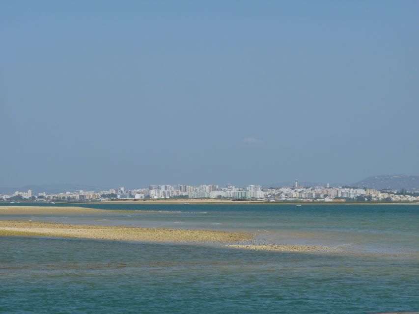 From Faro: 2-Island, 2-Stop Ria Formosa Catamaran Tour - Should you book the Deserta and Farol tour?