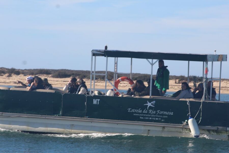 From Faro: 2-Island, 2-Stop Ria Formosa Catamaran Tour - Passing Cape St. Mary