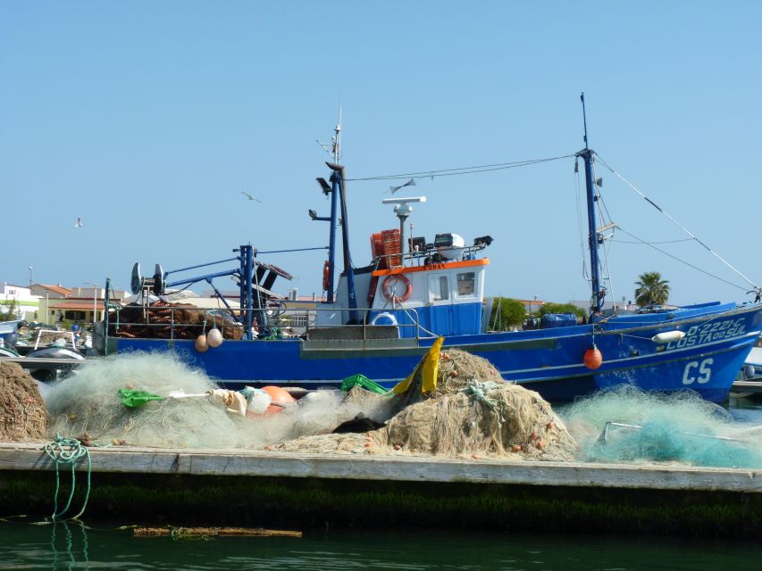 From Faro: 4 Stops, 3 Islands in Ria Formosa Catamaran Tour - Who should book this catamaran tour