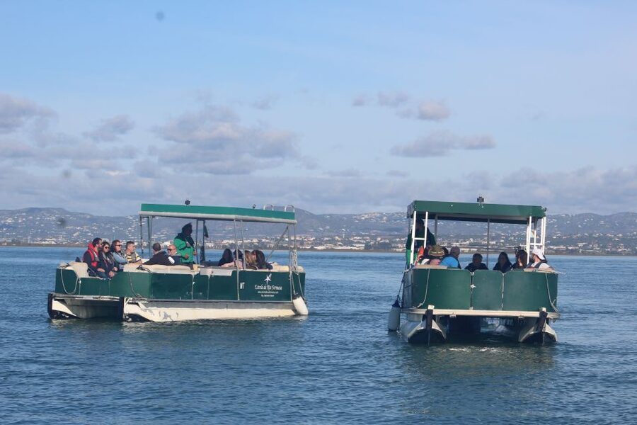 From Faro: 4 Stops, 3 Islands in Ria Formosa Catamaran Tour - Why the Ria Formosa makes a good half-day outing