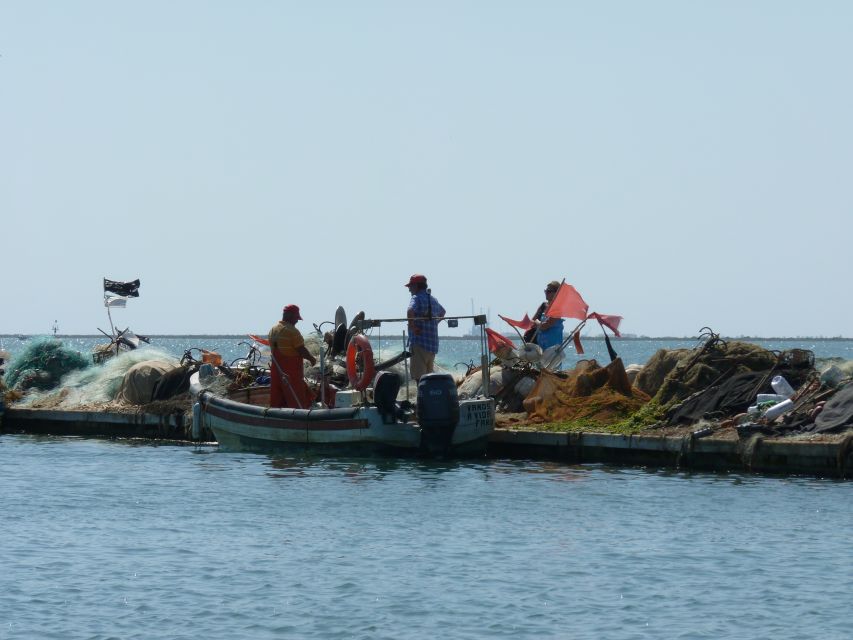 From Faro: 4 Stops, 3 Islands in Ria Formosa Catamaran Tour - Culatra: two hours of island life and lunch