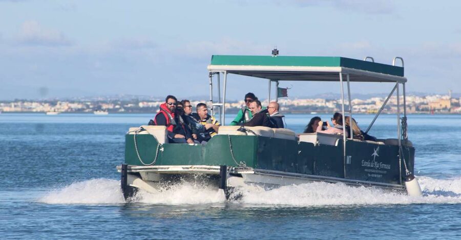 From Faro: 4 Stops, 3 Islands in Ria Formosa Catamaran Tour - Ilha Deserta: the quietest first stop