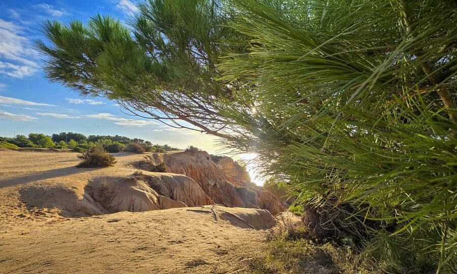 From Faro: 7 Valleys Hiking, Benagil Cave, & Snorkeling Tour - Who should book this Algarve day trip?