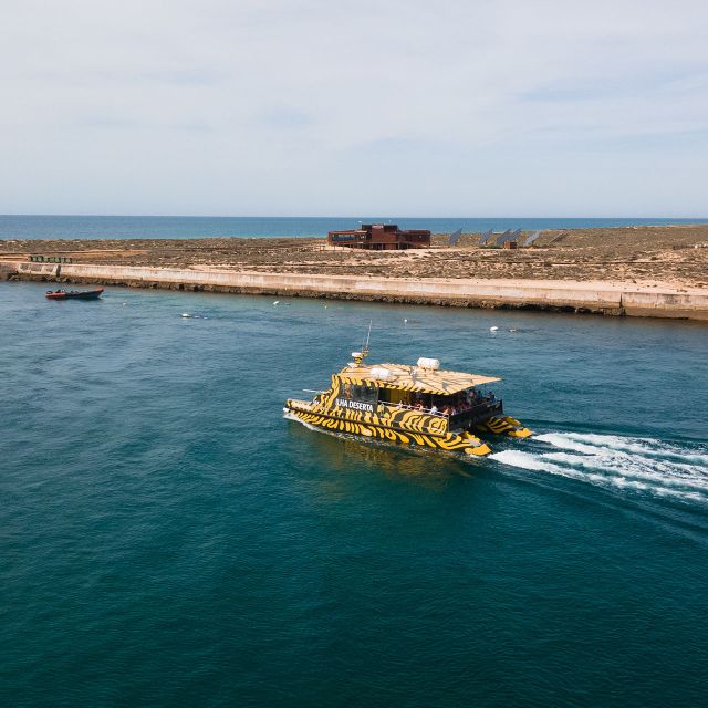 From Faro: Catamaran Boat Trip to Deserta Island with Stop - Key points to know before you go