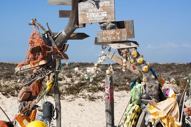 From Faro: Ria Formosa Eco Tour guided by Marine Biologist - Key points to know before booking