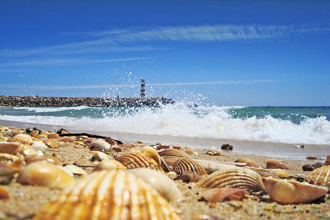 From Faro: Ria Formosa Eco Tour guided by Marine Biologist - What makes Ria Formosa worth seeing