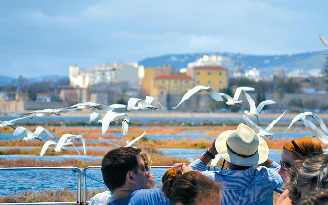 From Faro: Ria Formosa Eco Tour guided by Marine Biologist - Timing, meeting points, and practical planning