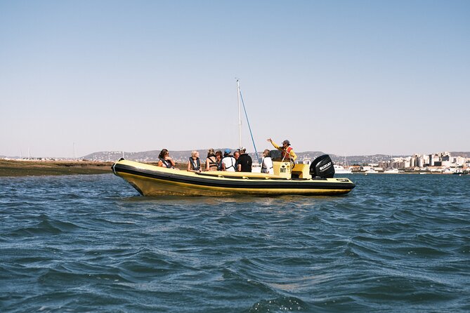 From Faro: Ria Formosa Eco Tour guided by Marine Biologist - Arriving at Ilha Deserta, also called Barreta
