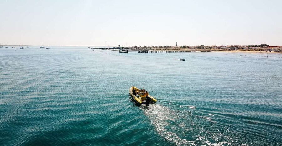 From Faro: Ria Formosa Hop-On Hop-Off 3 Islands Cruise - Key points to know before you book