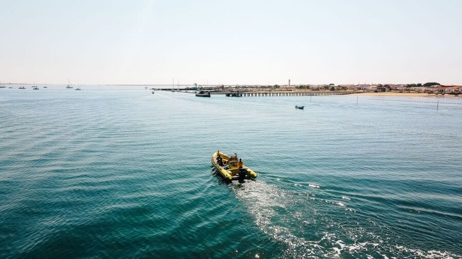 From Faro: Ria Formosa Hop-On Hop-Off 3 Islands Cruise - Farol Island: lighthouse views and a small village