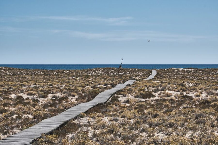 From Faro: Ria Formosa Hop-On Hop-Off 3 Islands Cruise - The boat rides are part of the day