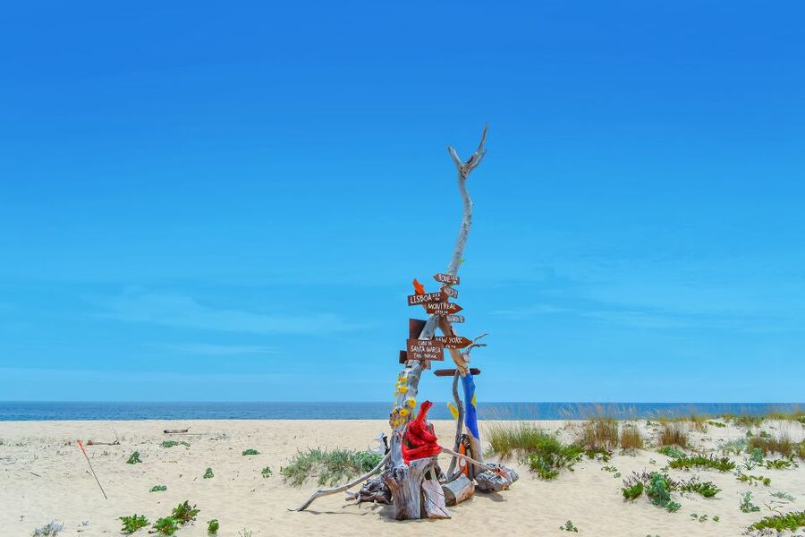 From Faro: Ria Formosa Hop-On Hop-Off 3 Islands Cruise - Who will enjoy this most?