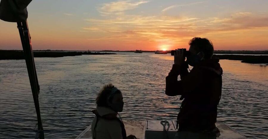 From Faro: Ria Formosa Sunset Boat Trip - A Sunset Over the Ria Formosa, Not Just a Boat Ride