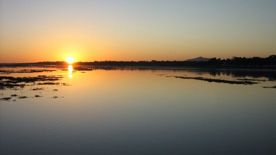 From Faro: Ria Formosa Sunset Boat Trip - Following the Channels Through the Natural Park