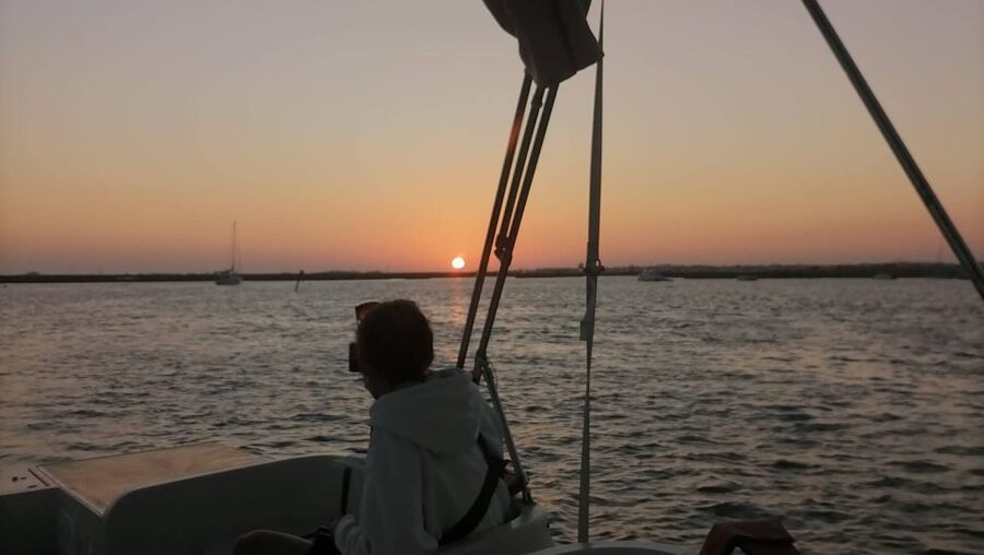From Faro: Ria Formosa Sunset Boat Trip - Wildlife in the Marshes